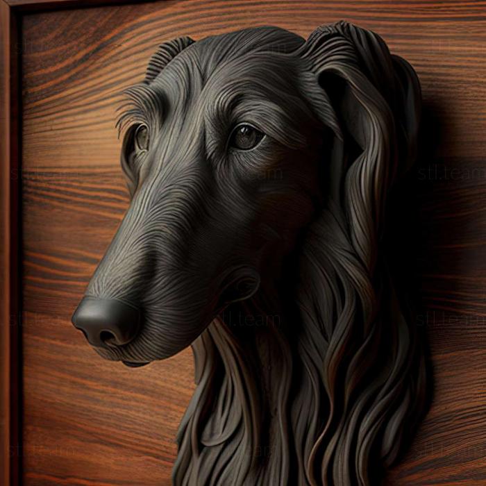 Deerhound dog